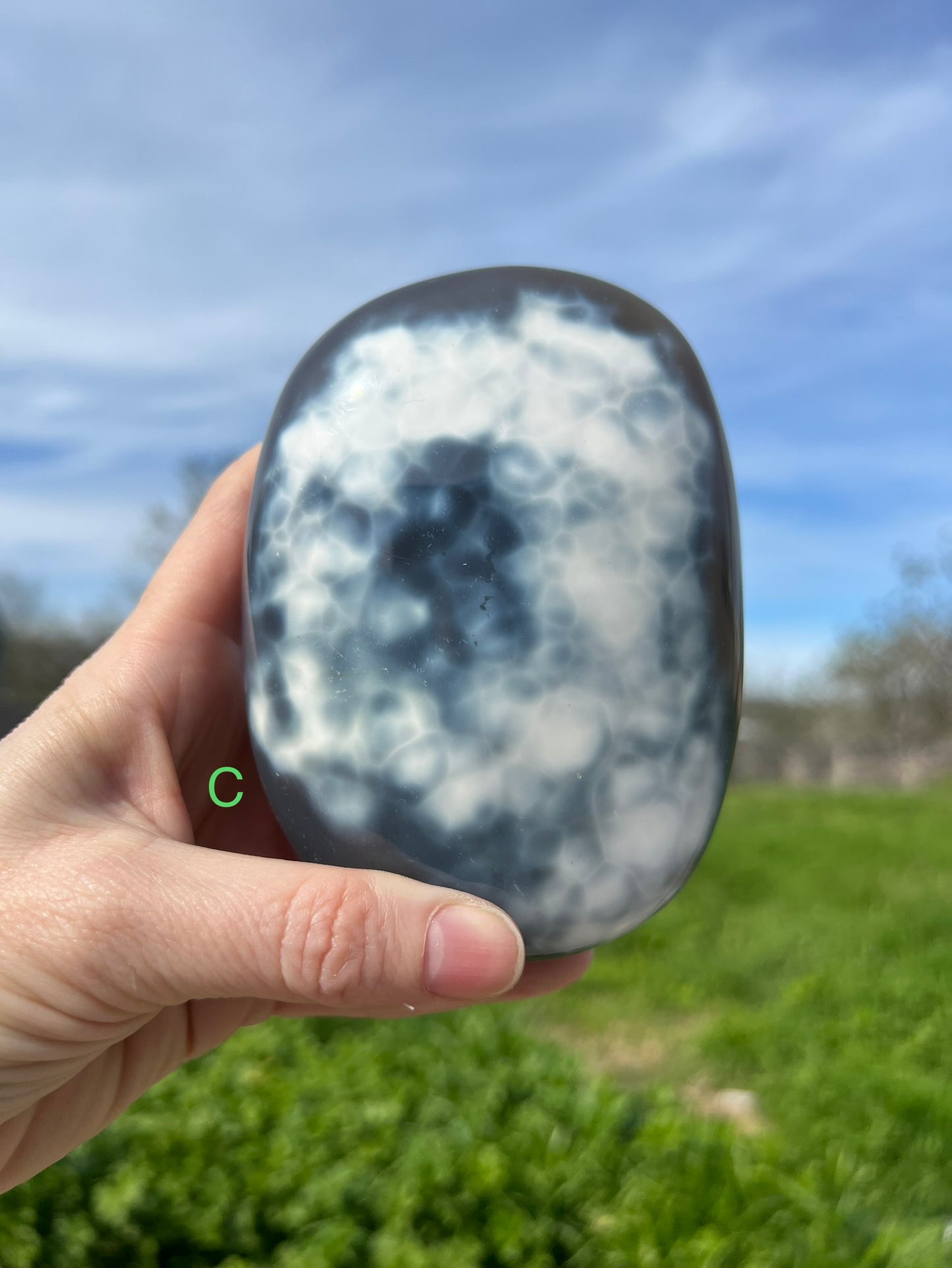 Blue Orca Agate Free Form