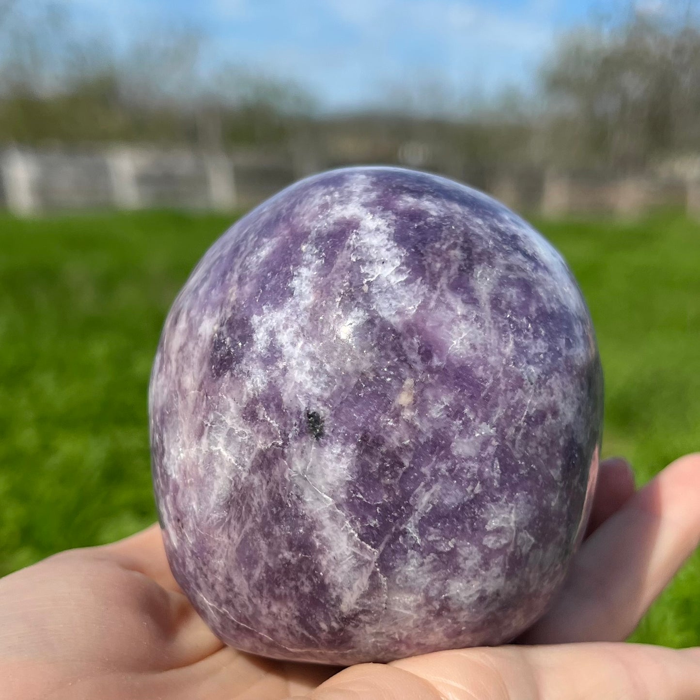 Lepidolite Skull Carving Large