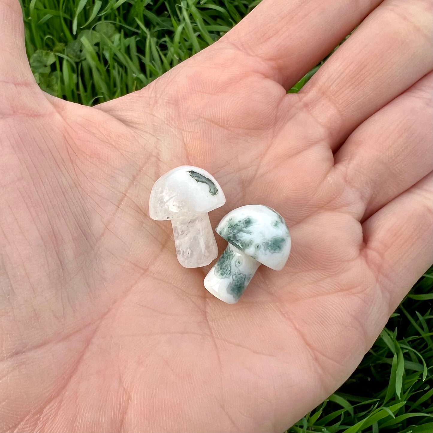 Tree Moss Agate Mini Mushroom
