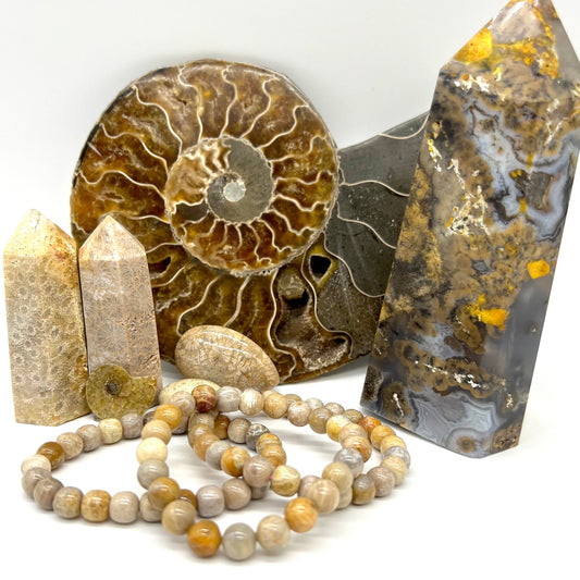 Fossilized Coral Bracelet - Inner Peace, Luck, Wealth, Protection