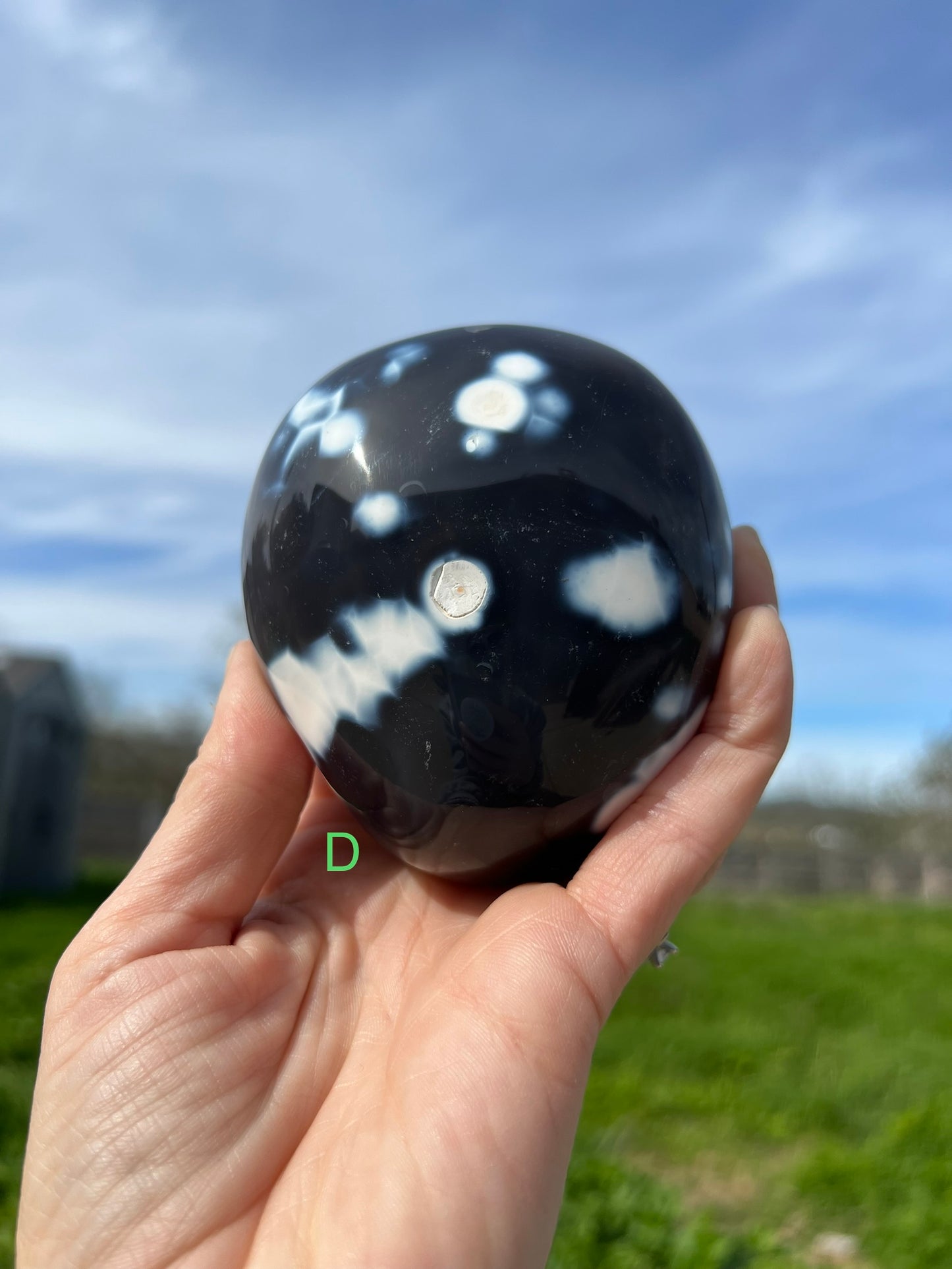 Blue Orca Agate Free Form