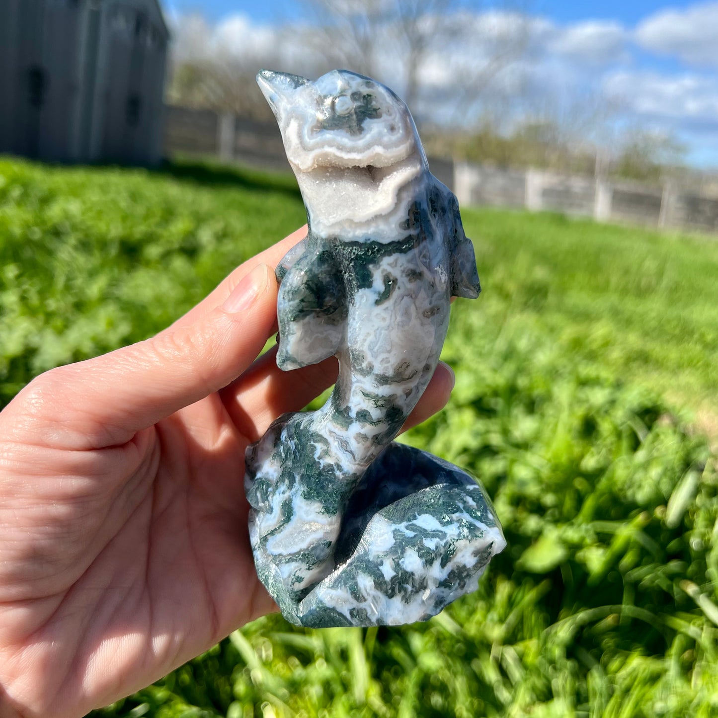 Moss Agate Druzy Dolphine Carving Large