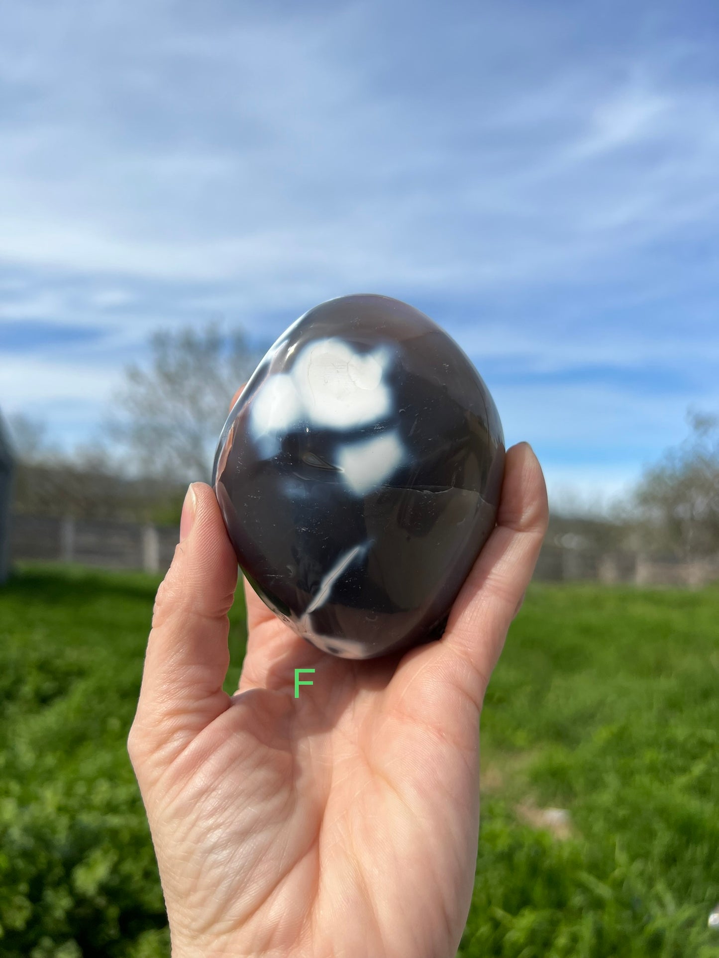 Blue Orca Agate Free Form