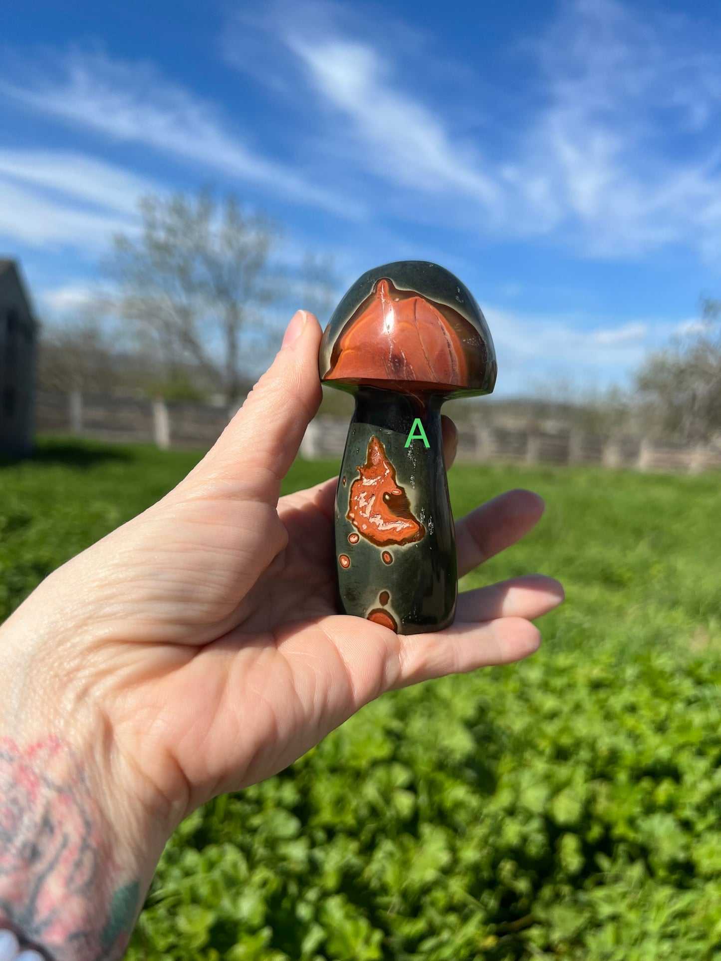 Polychrome Mushroom
