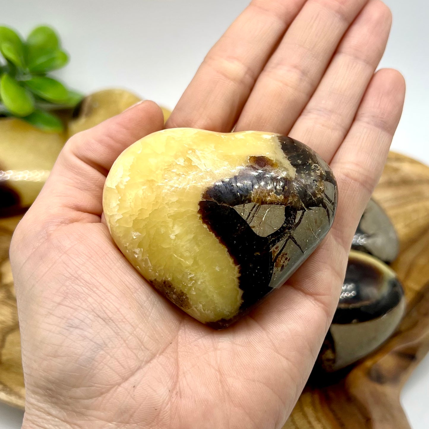 Septarian Puffy Heart