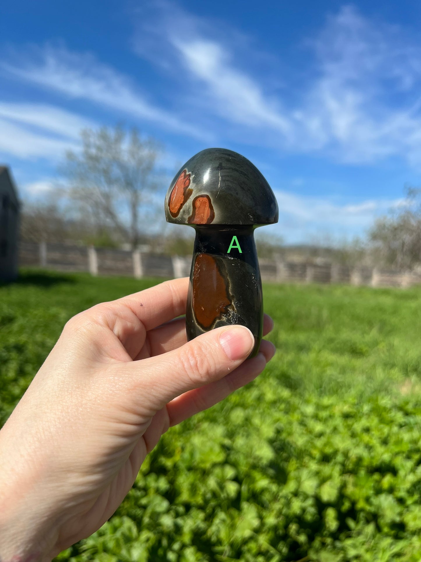 Polychrome Mushroom