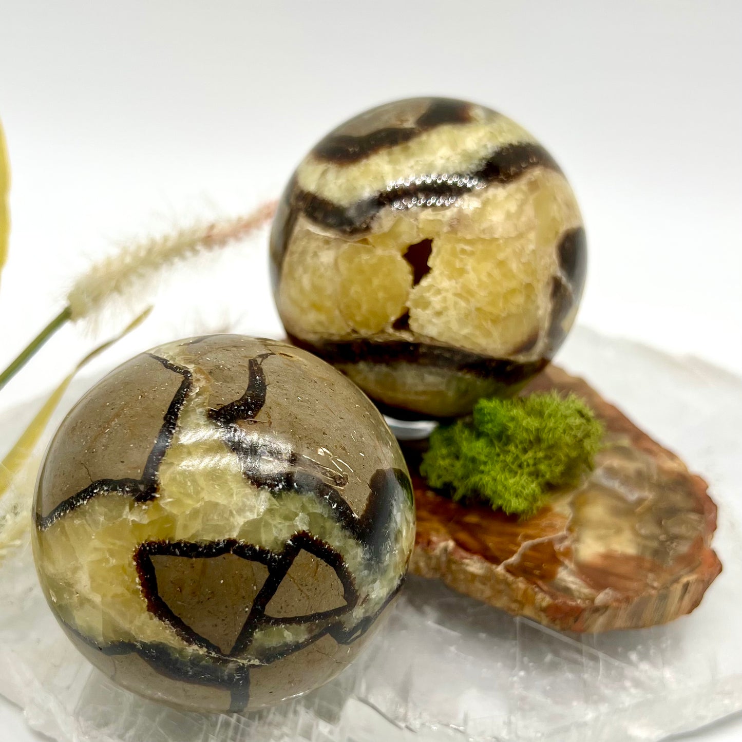 Septarian Sphere