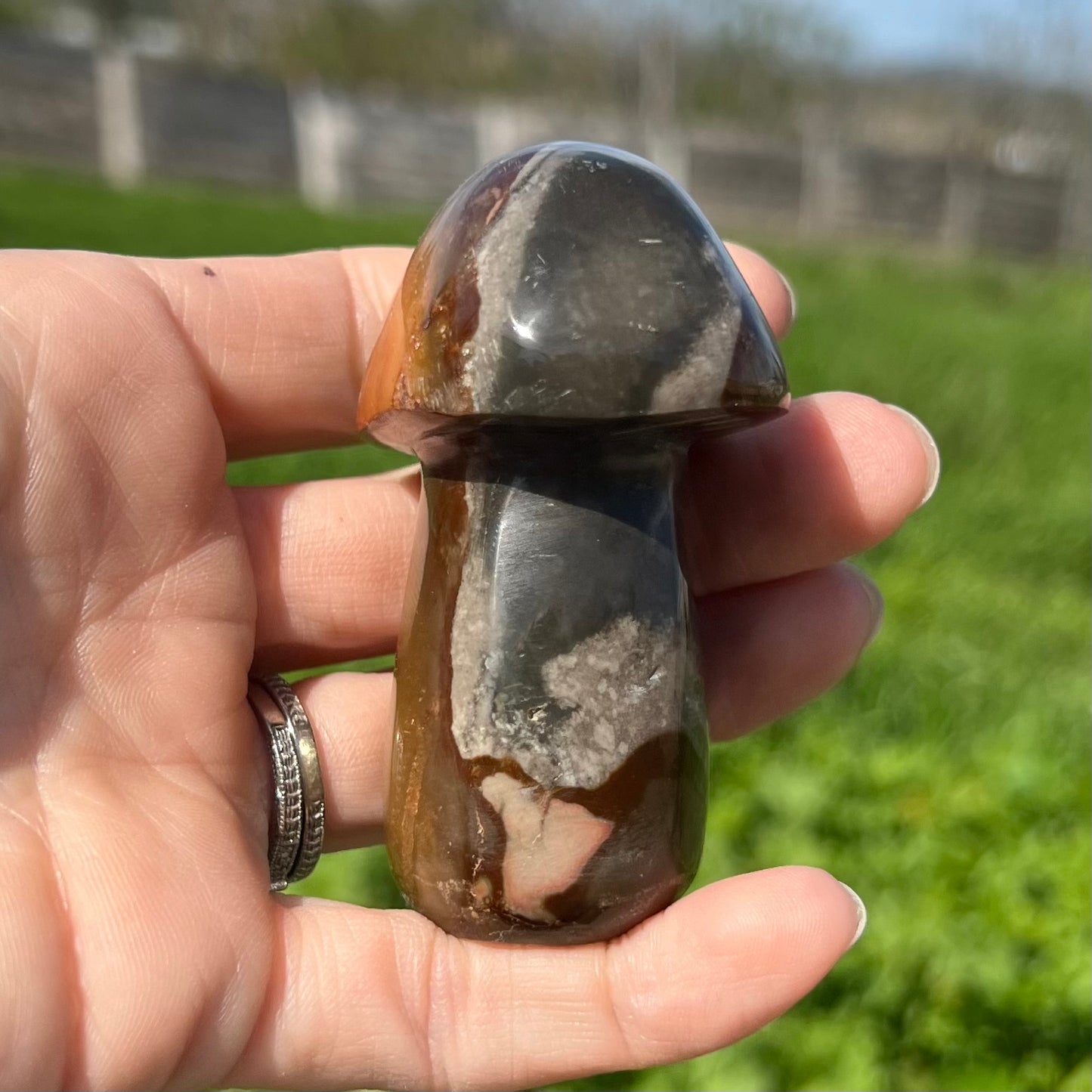 Polychrome Mushroom
