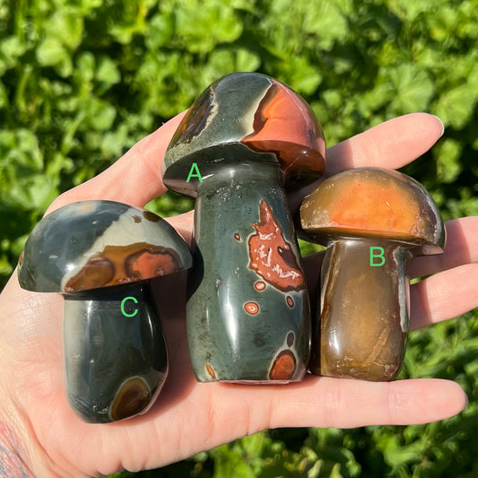 Polychrome Mushroom