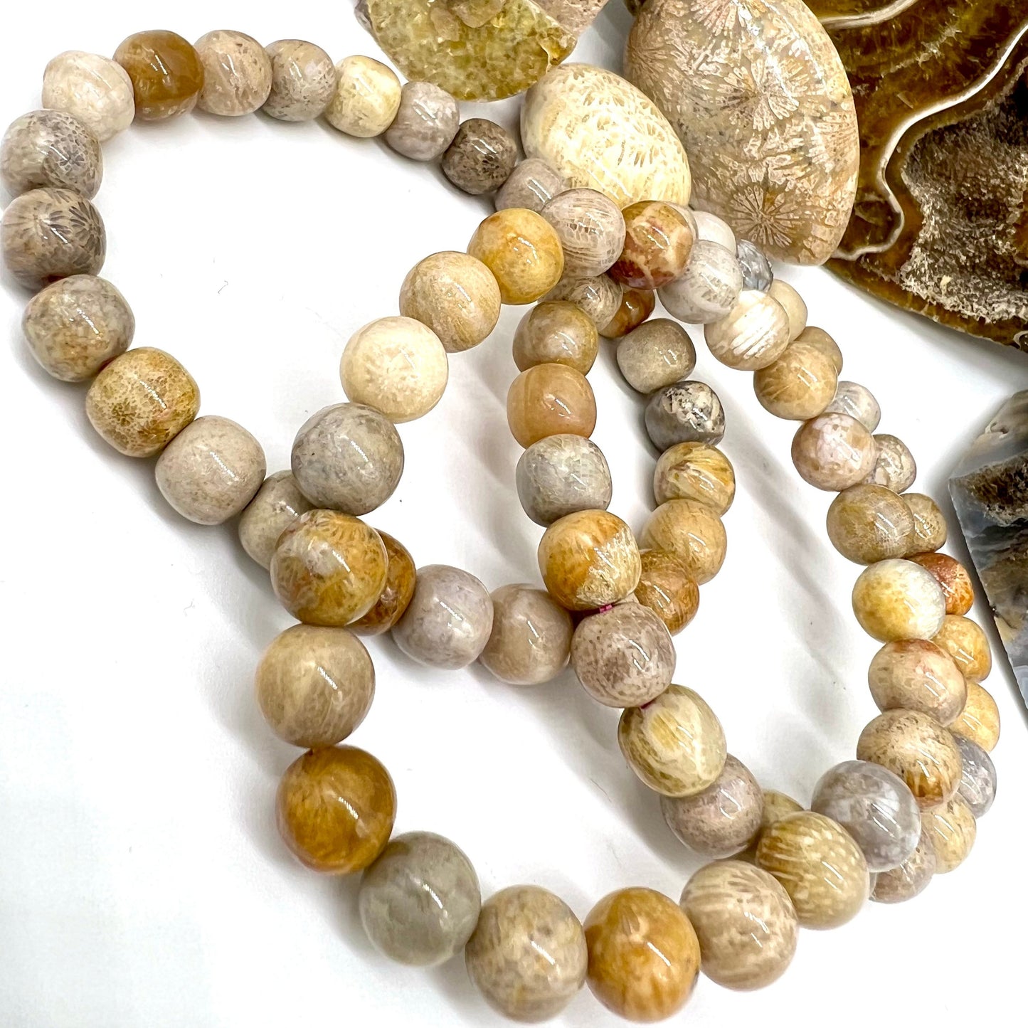 Fossilized Coral Bracelet - Inner Peace, Luck, Wealth, Protection