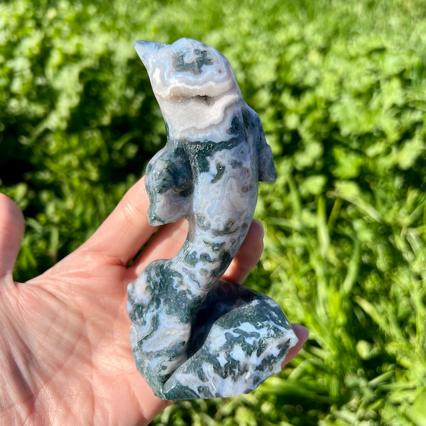 Moss Agate Druzy Dolphine Carving Large