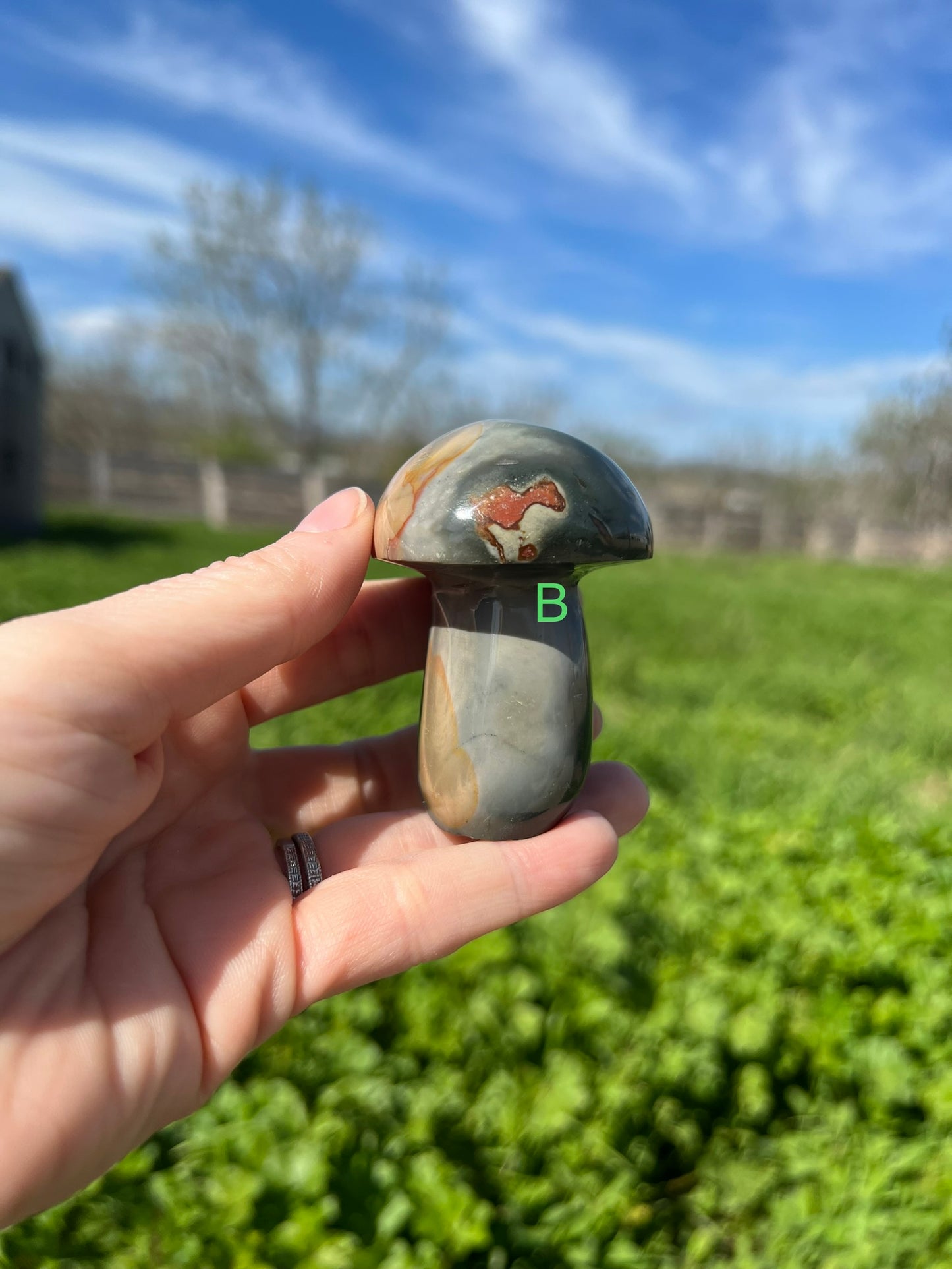 Polychrome Mushroom