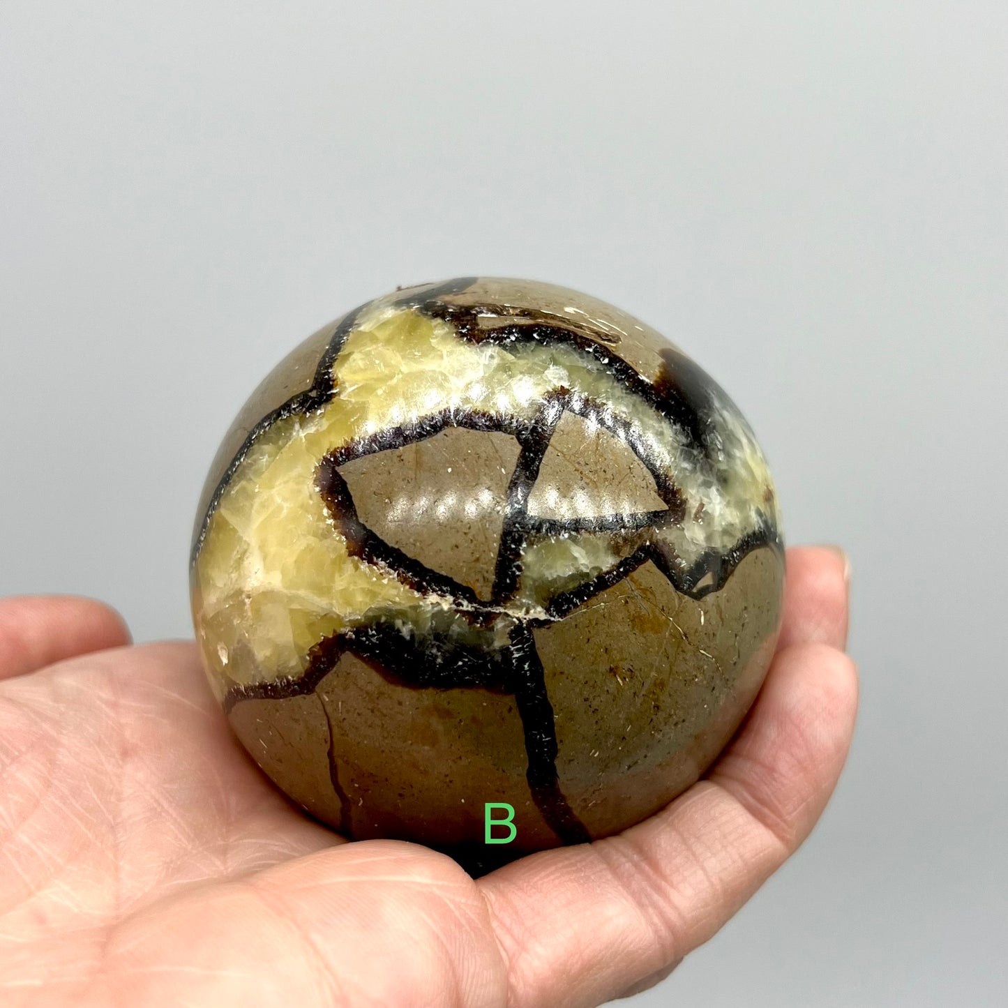 Septarian Sphere