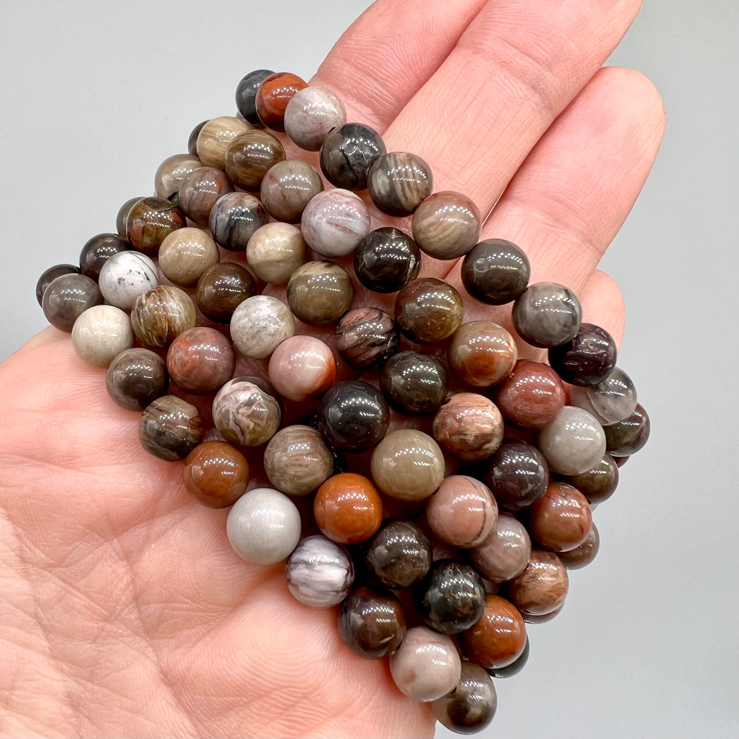 Petrified Wood Bracelet - Truth, Abundance, Trust, Growth, Calming