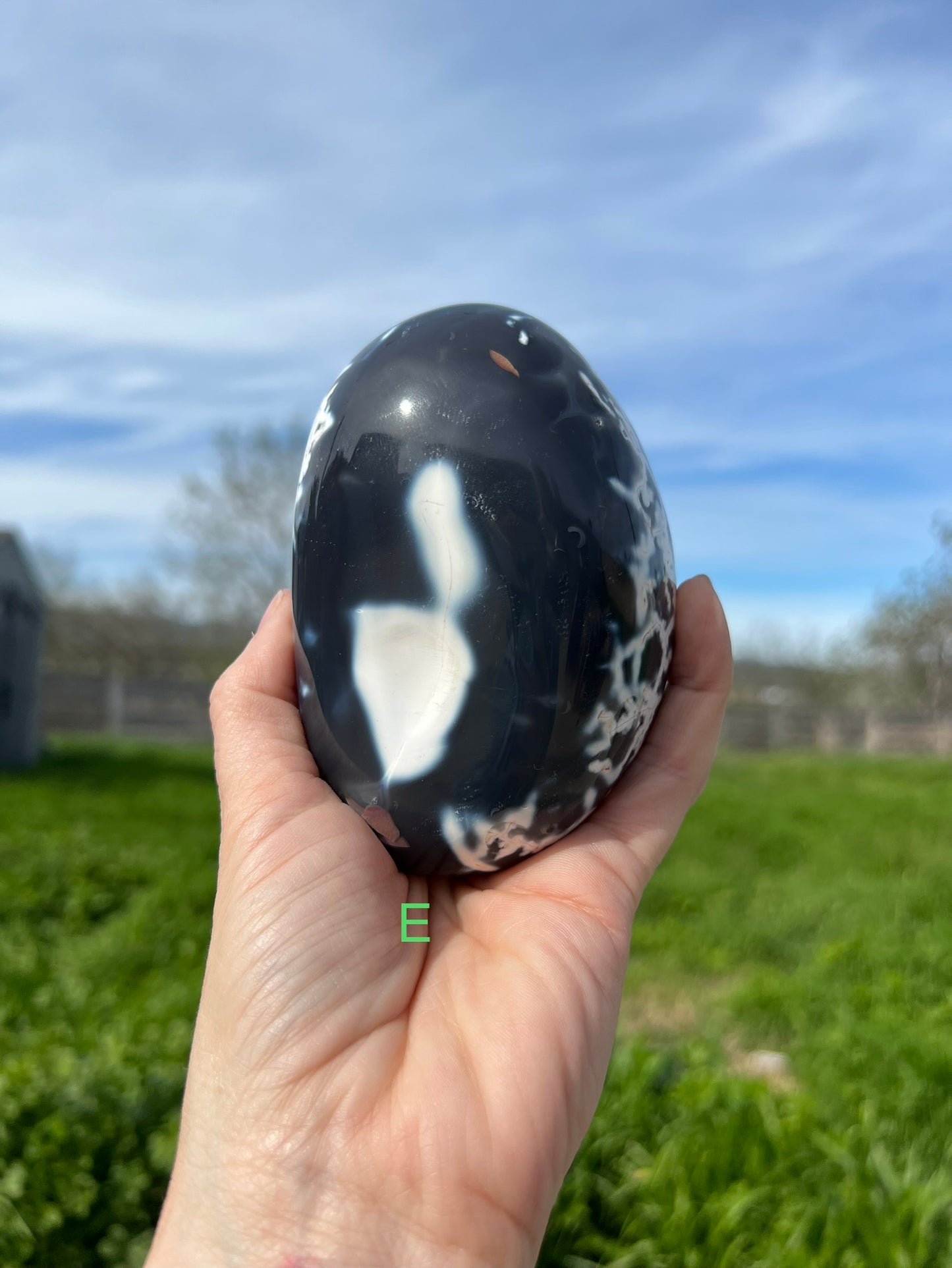 Blue Orca Agate Free Form