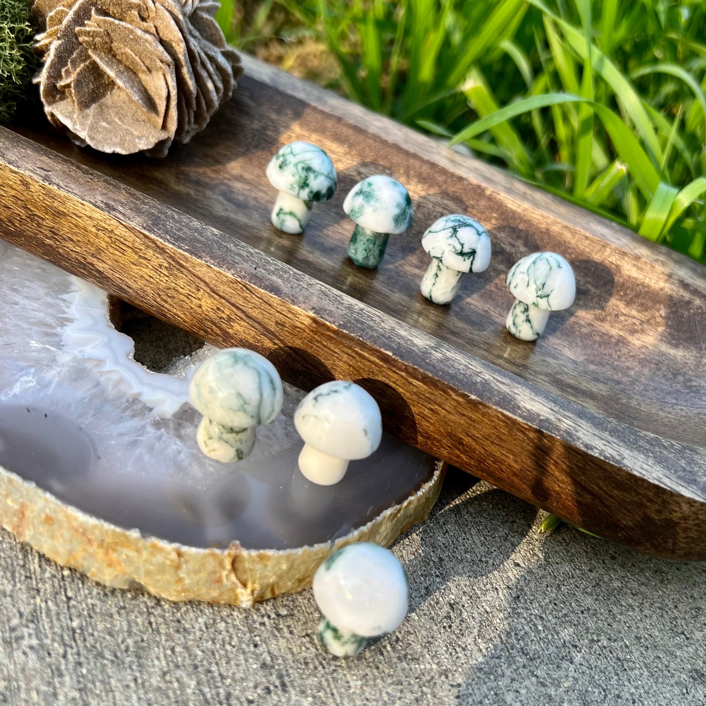 Tree Moss Agate Mini Mushroom