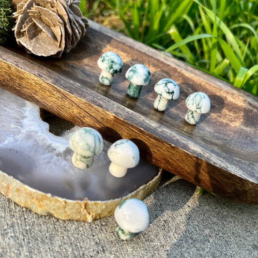 Tree Moss Agate Mini Mushroom