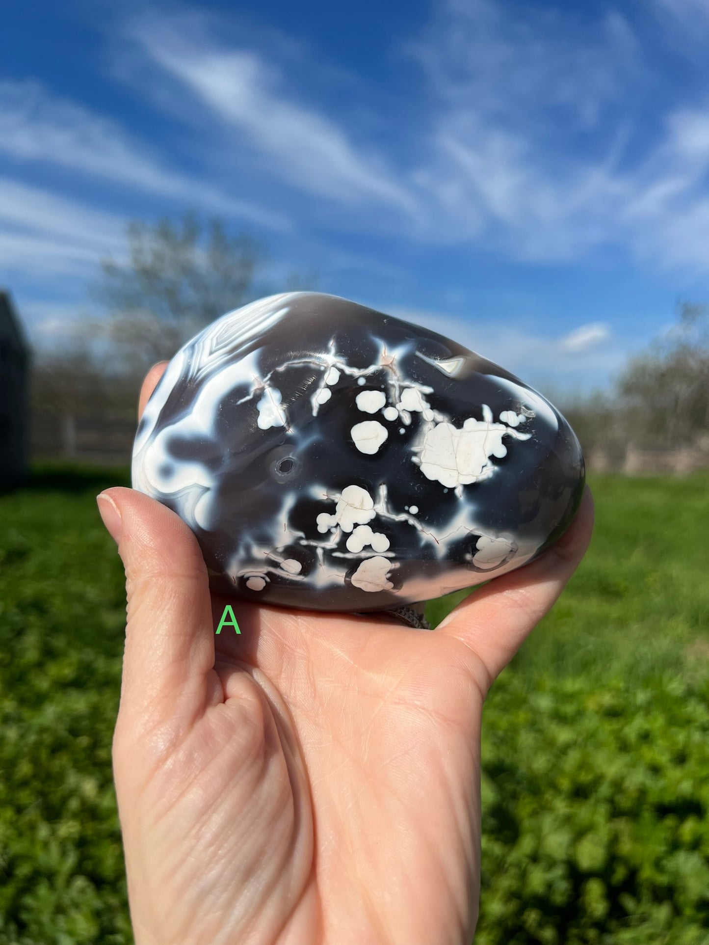 Blue Orca Agate Free Form