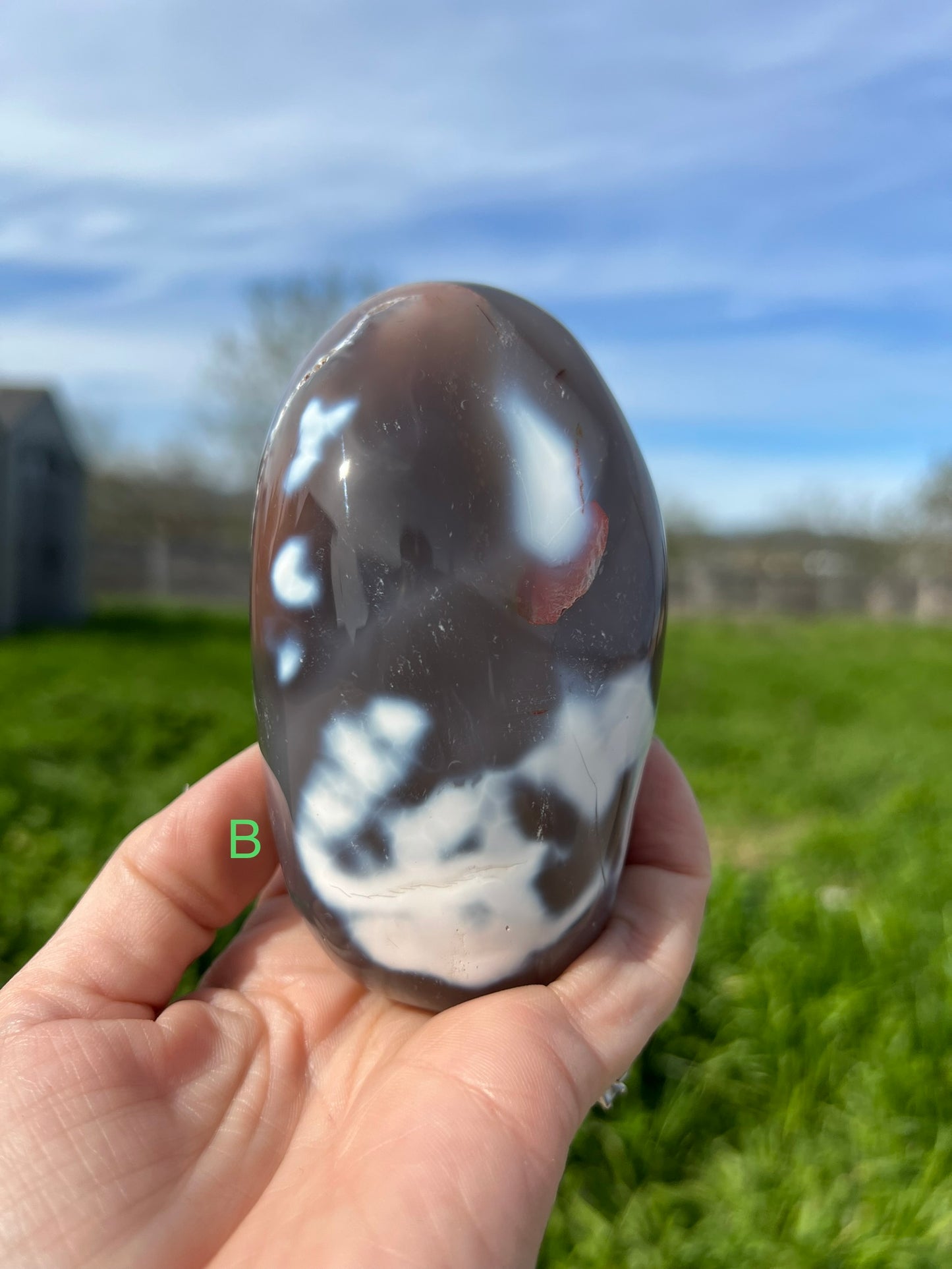 Blue Orca Agate Free Form