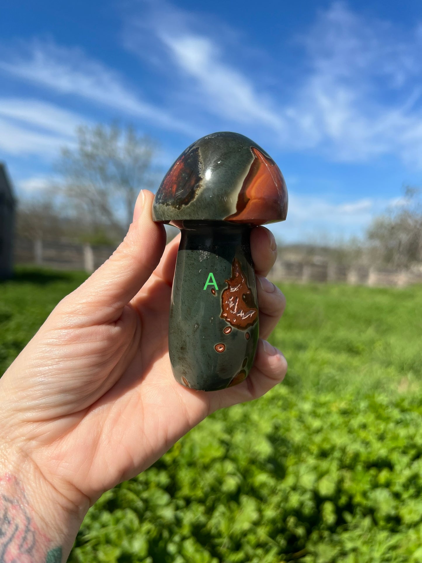 Polychrome Mushroom