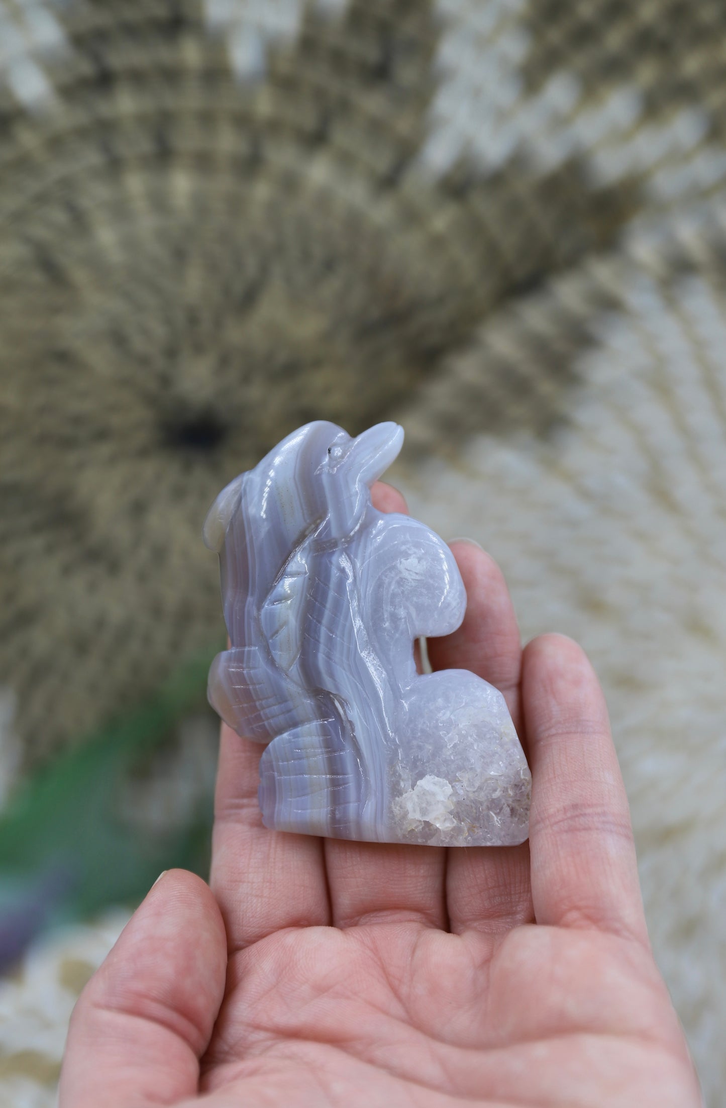 Druzy Agate Dolphin Carving