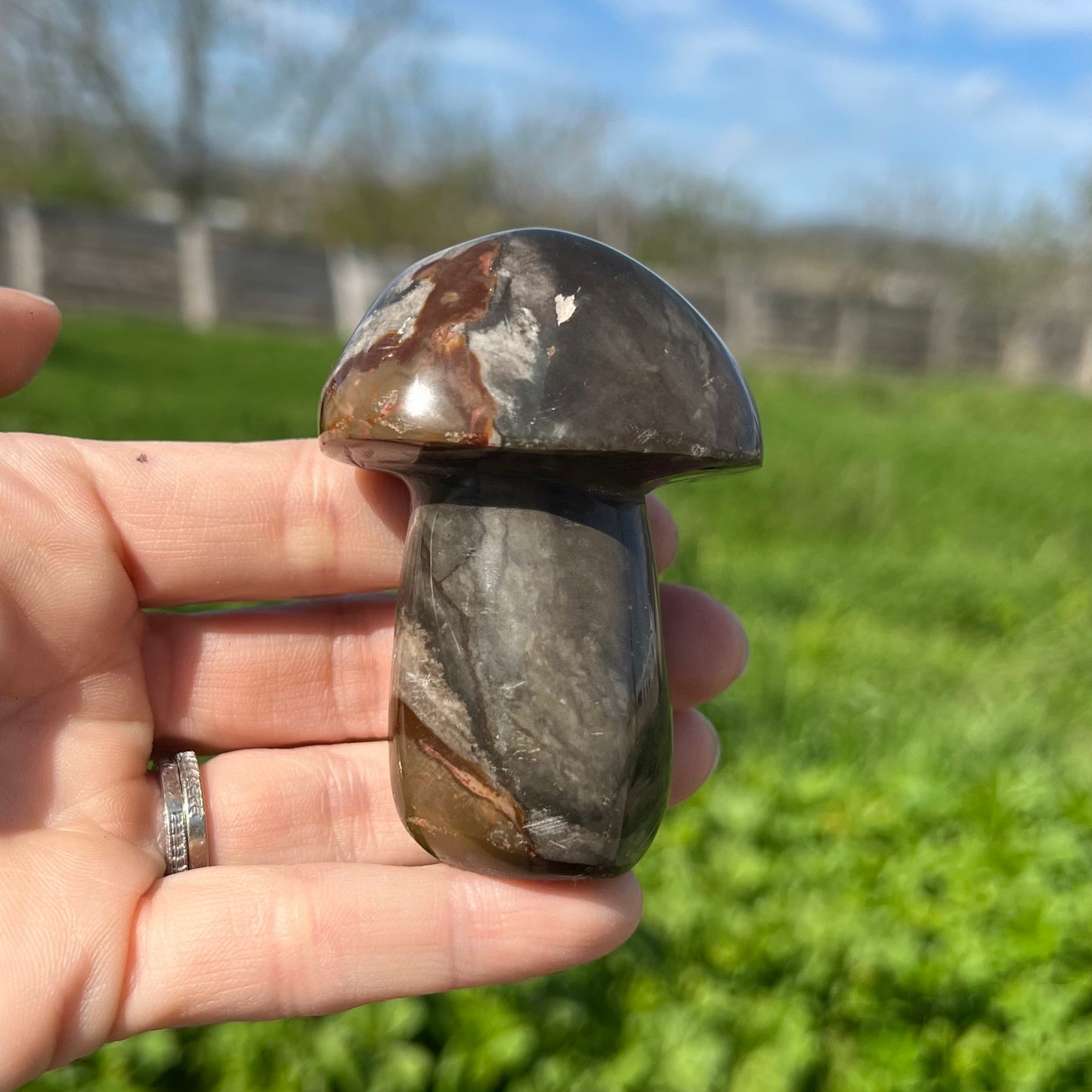Polychrome Mushroom