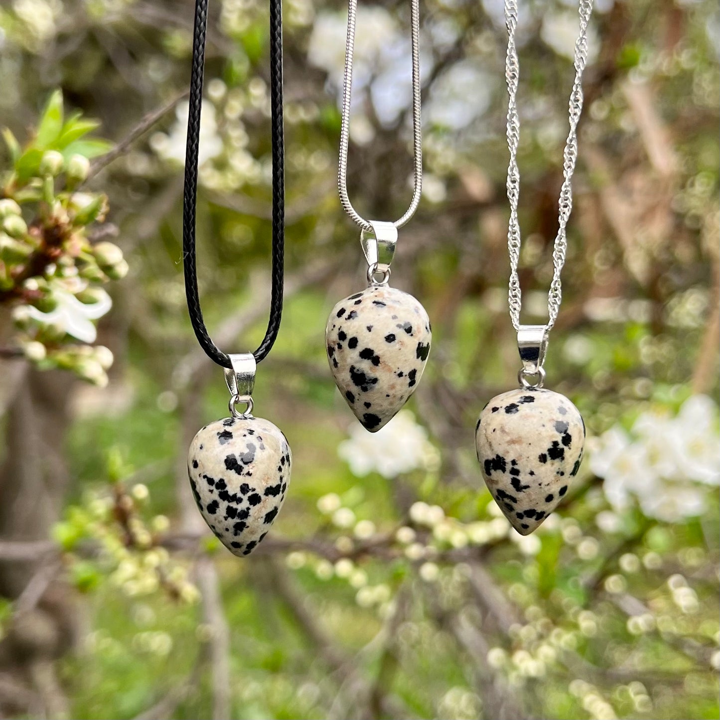 Dalmatian Jasper Acorn Necklace